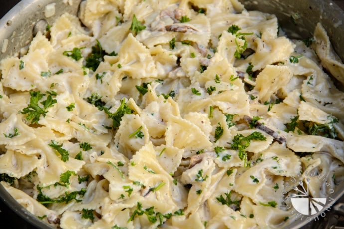 Farfalle Pasta Recipe (How to Make Farfalle Pasta)