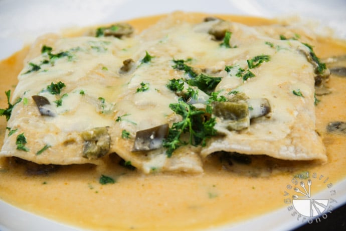 Poblano Mushroom Enchiladas-11