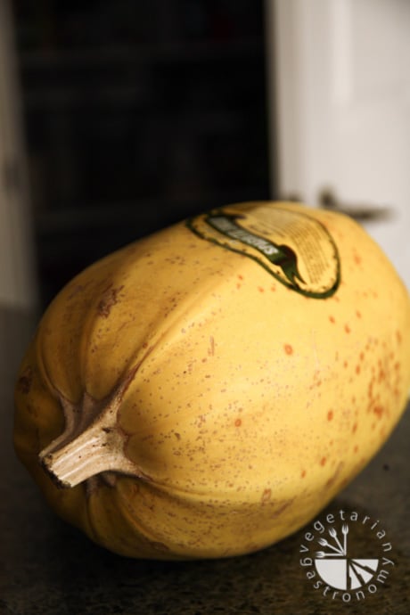 spaghetti squash-2