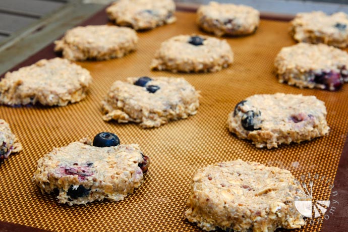 blueberry banana breakfast cookies-3