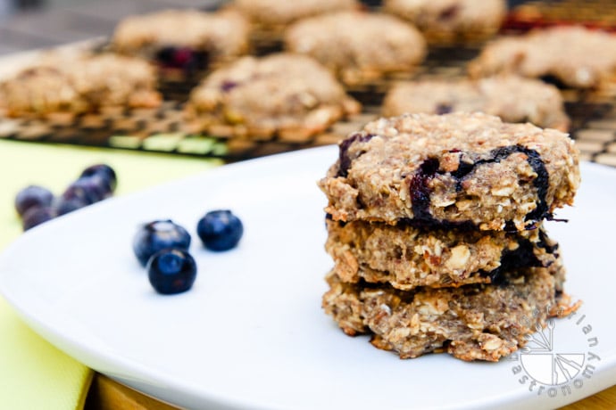 blueberry banana breakfast cookies-5