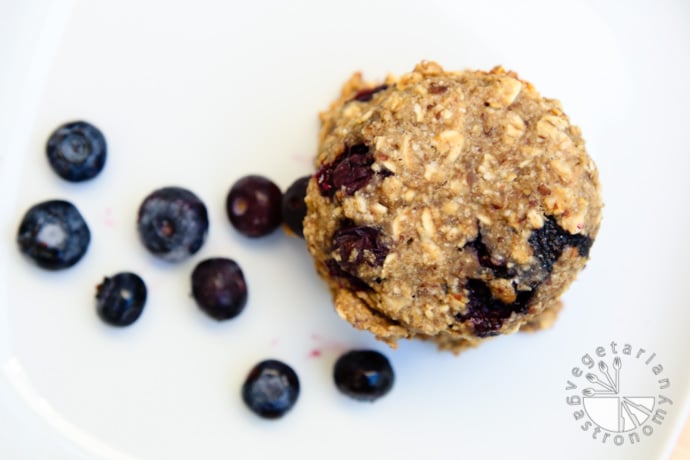 blueberry banana breakfast cookies-9