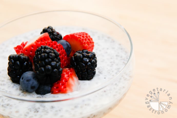 coconut chia seed pudding-6