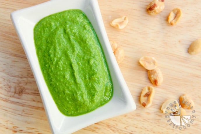 cilantro peanut chutney-2