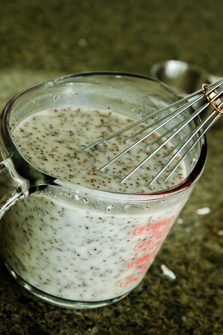 mango coconut chia seed pudding-15