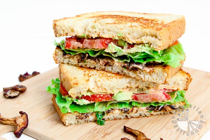 crispy mushroom sandwich-7