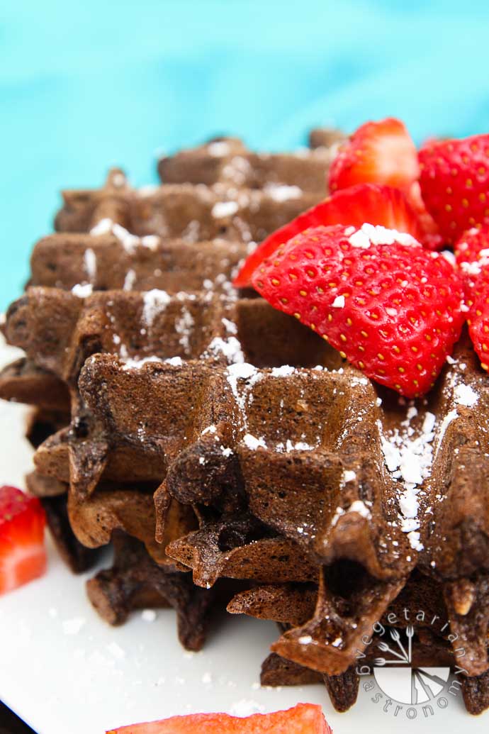 double chocolate chip oat waffles-4