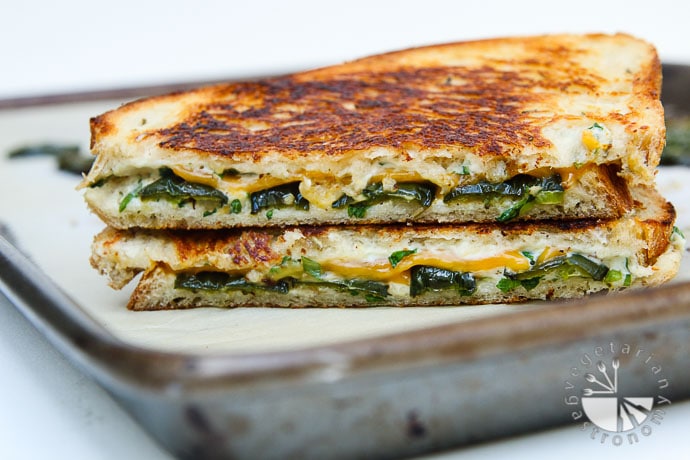 jalapeno popper herb grilled cheese-4